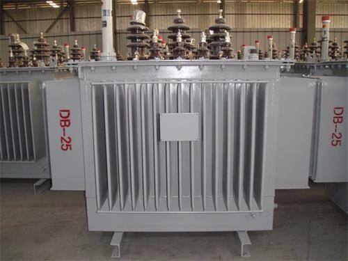 亳州S13-100KVA/10KV/0.4KV油浸式变压器